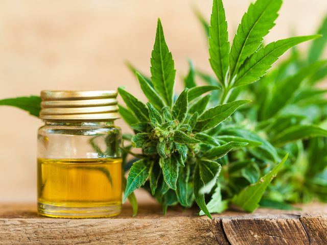 The Best CBD Oil